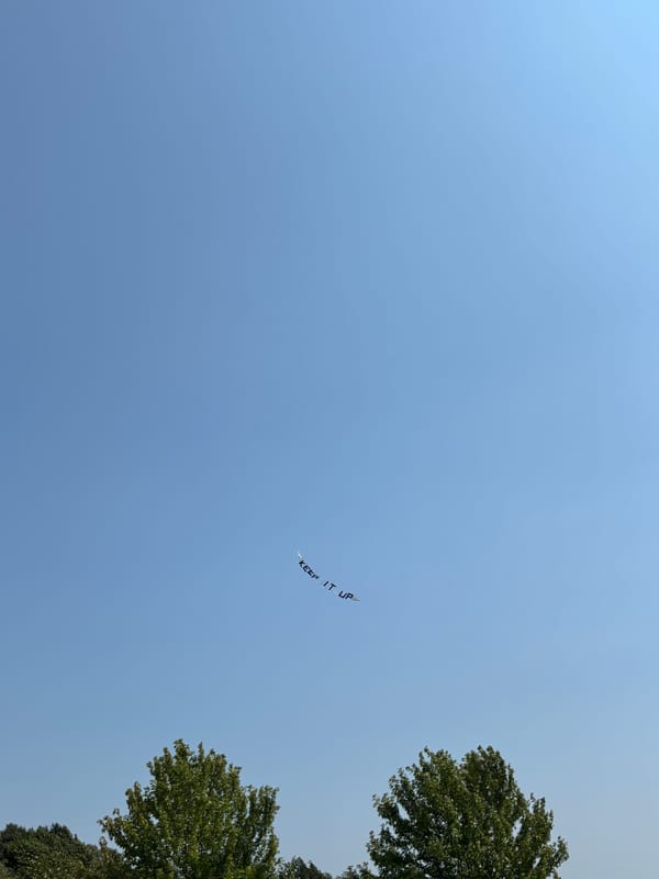 Everything Looks Perfect From Far Away
